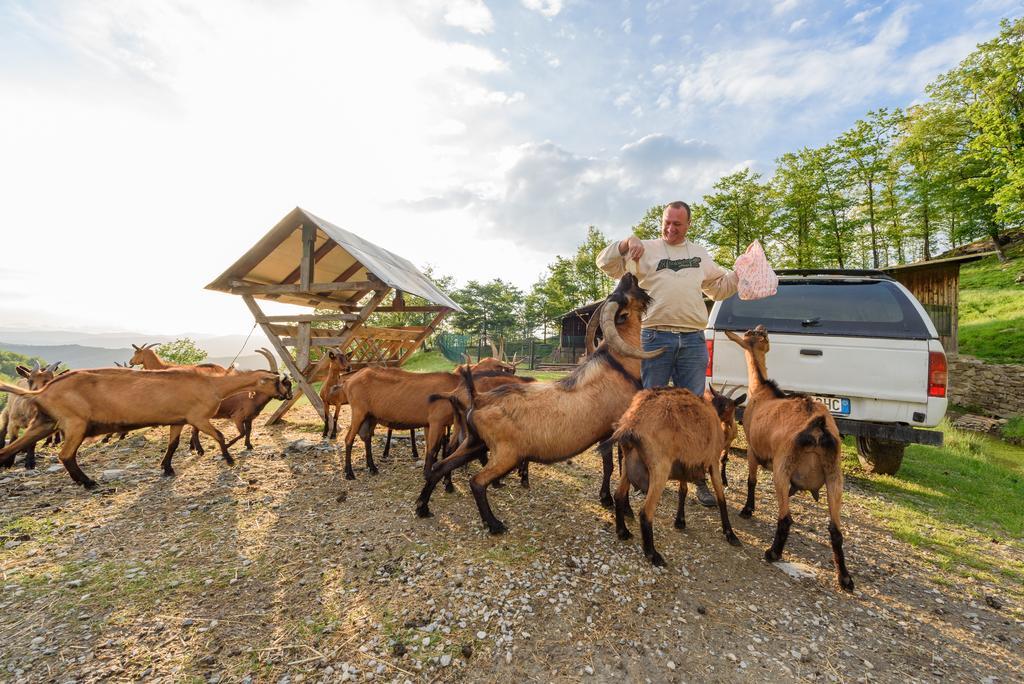 Agriturismo Casapasserini Londa Dış mekan fotoğraf