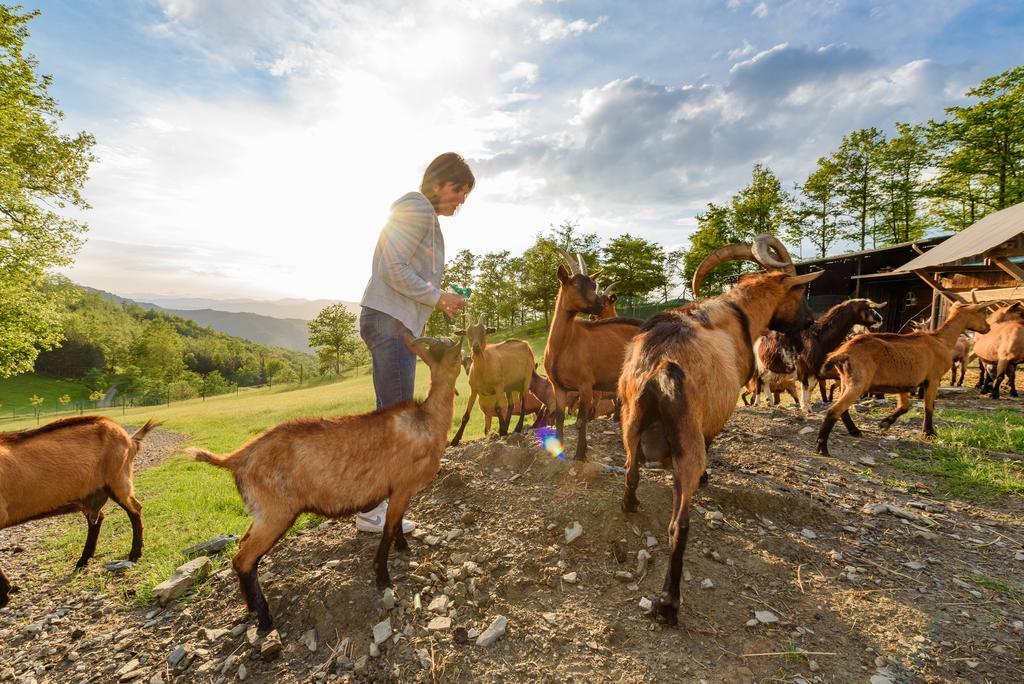 Agriturismo Casapasserini Londa Dış mekan fotoğraf