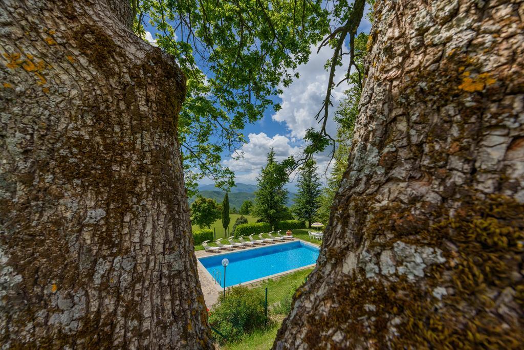 Agriturismo Casapasserini Londa Dış mekan fotoğraf