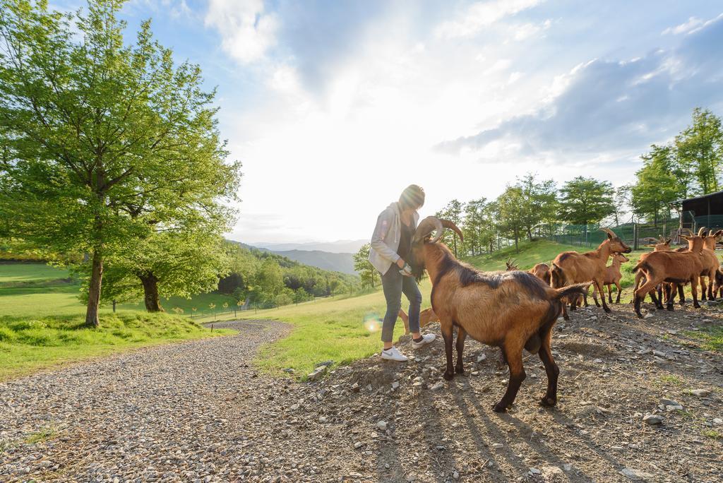 Agriturismo Casapasserini Londa Dış mekan fotoğraf